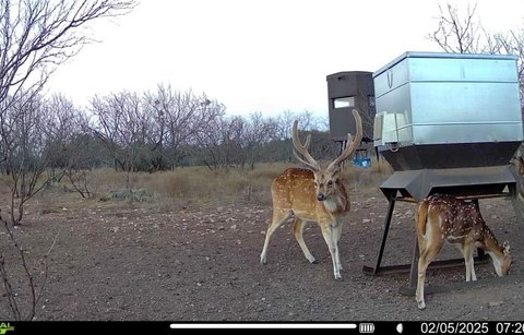 Ag-Exempt Ranch with Barndominium