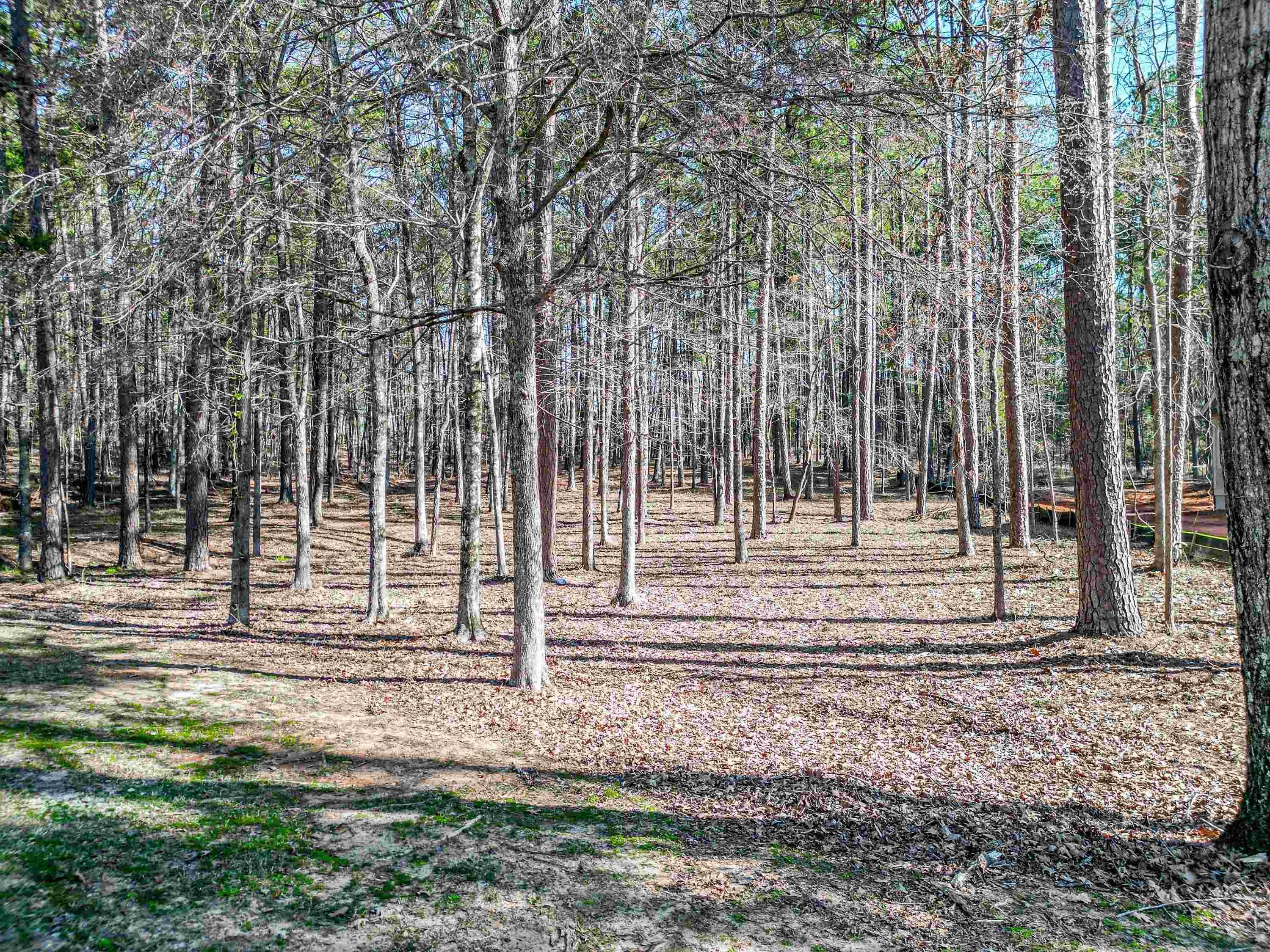 Residential Lot in Reynolds Lake