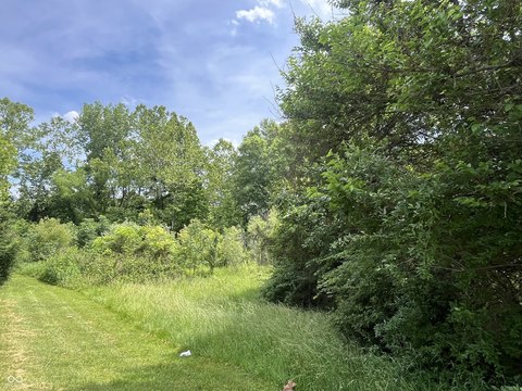Residential Cul-de-Sac Homesite