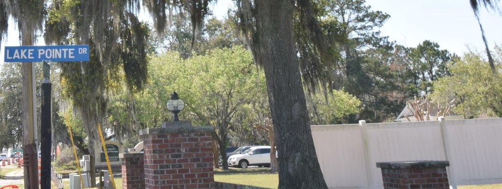 Picture 20