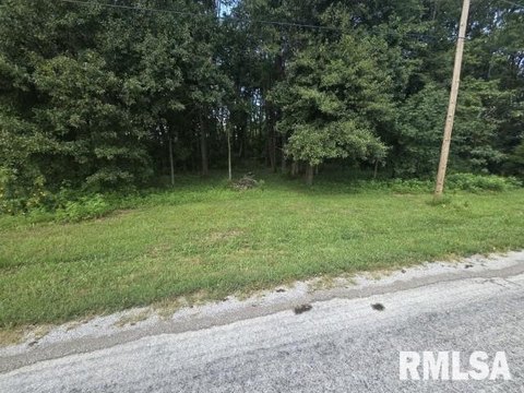 Residential Land in Bluford, Illinois