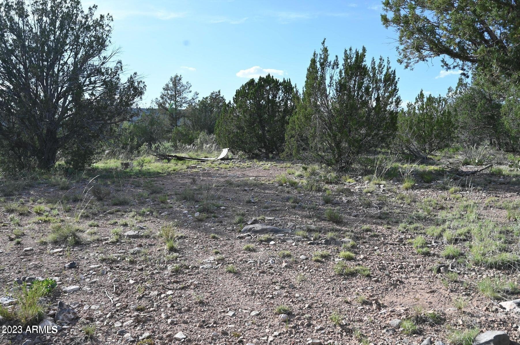 Land with Mountain Views