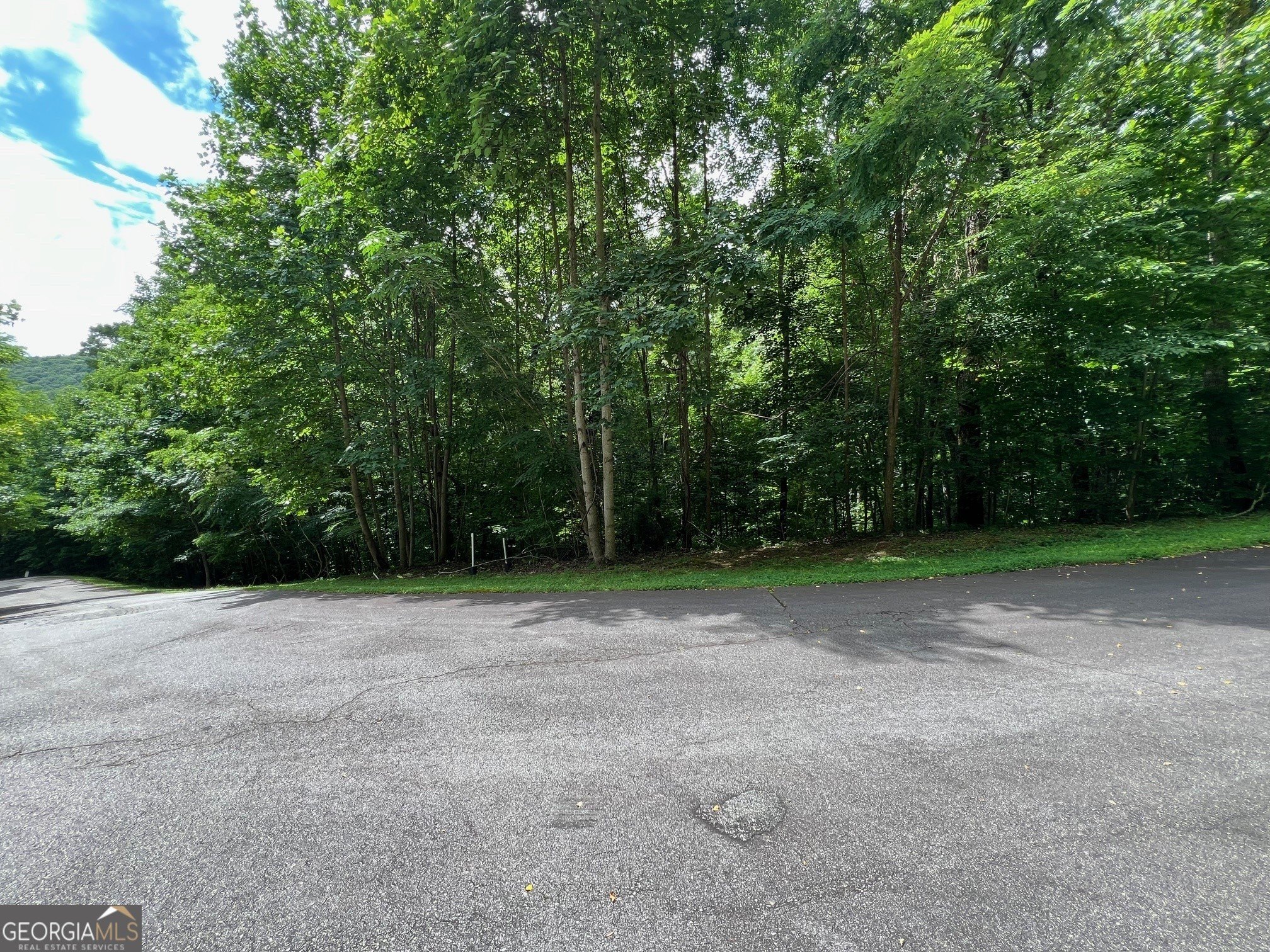Land in Mountain Community