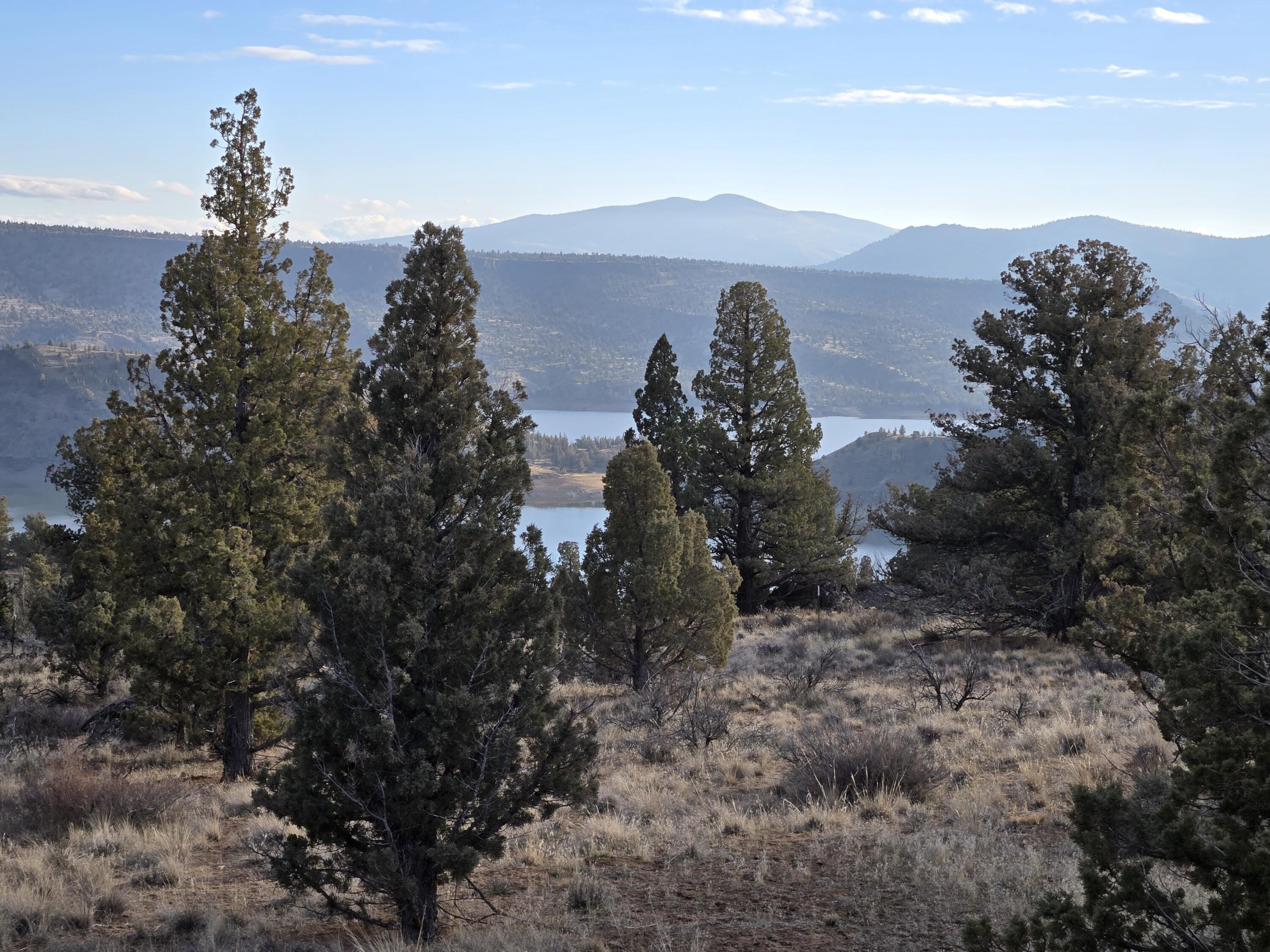 Residential Land Near Prineville Reservoir