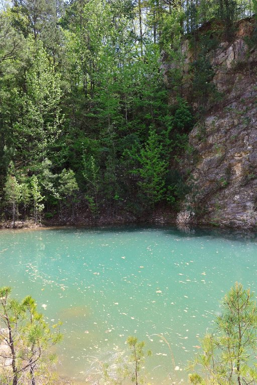 Picture 8
