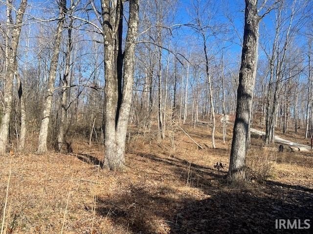 Picture 6