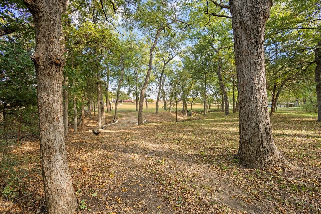Picture 22