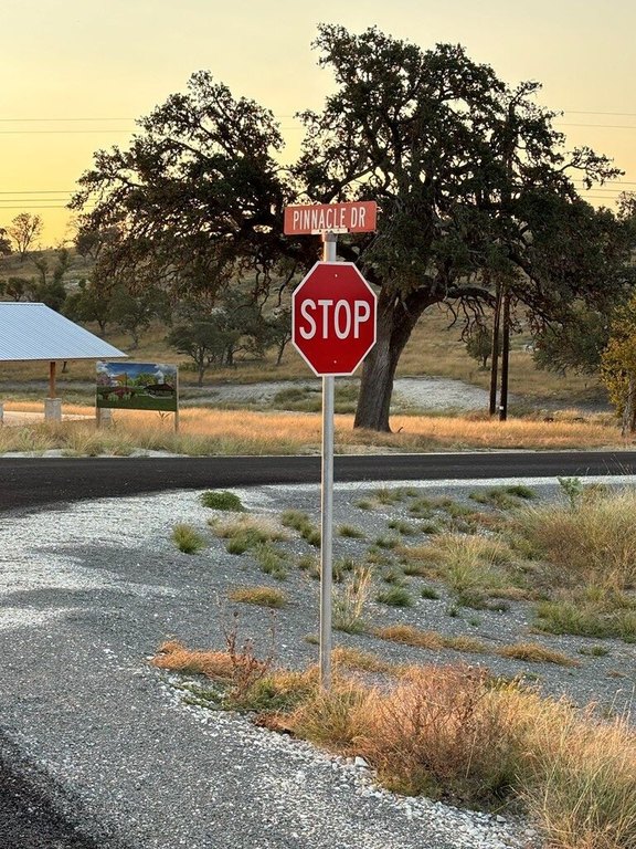Picture 40