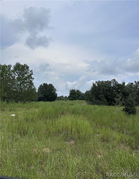 LAND - Inverness, FL