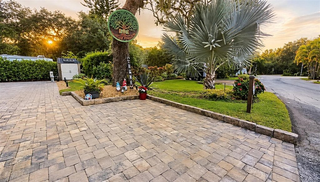 Picture 24