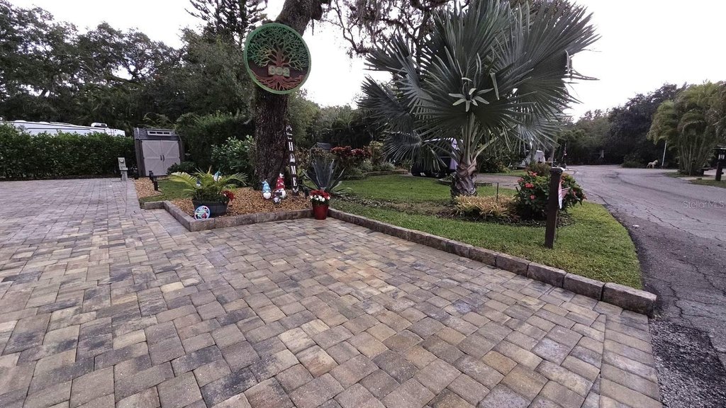 Picture 15