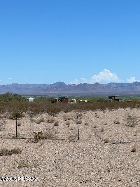 Picture 8