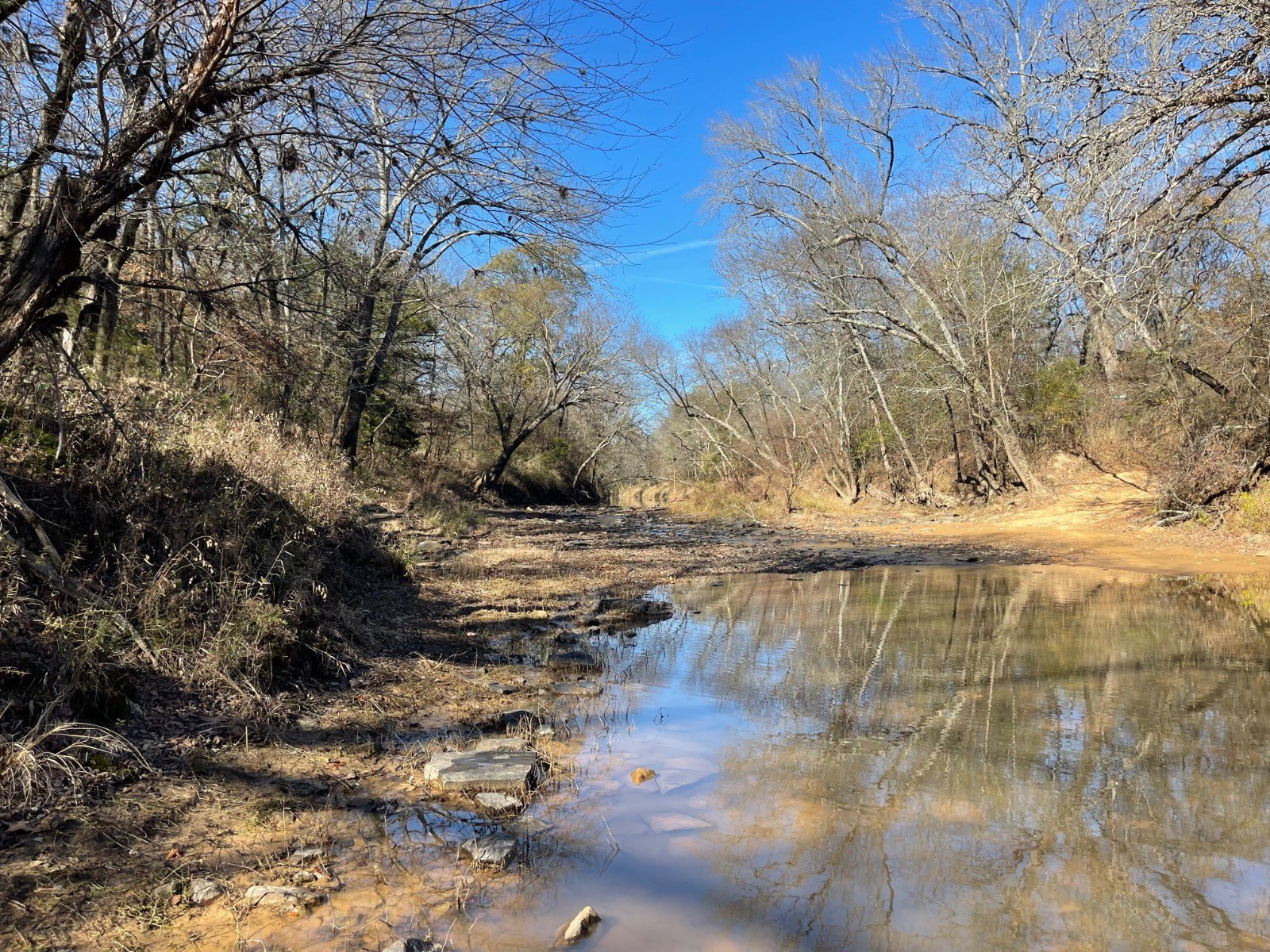 Wooded Land Near Buck Creek