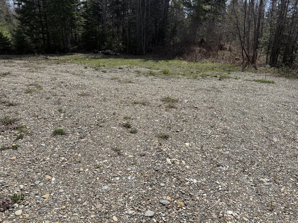 Picture 16