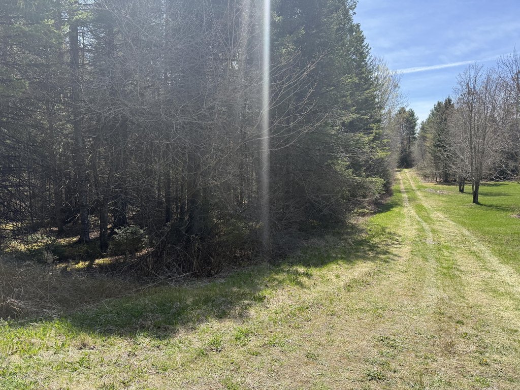 Picture 19