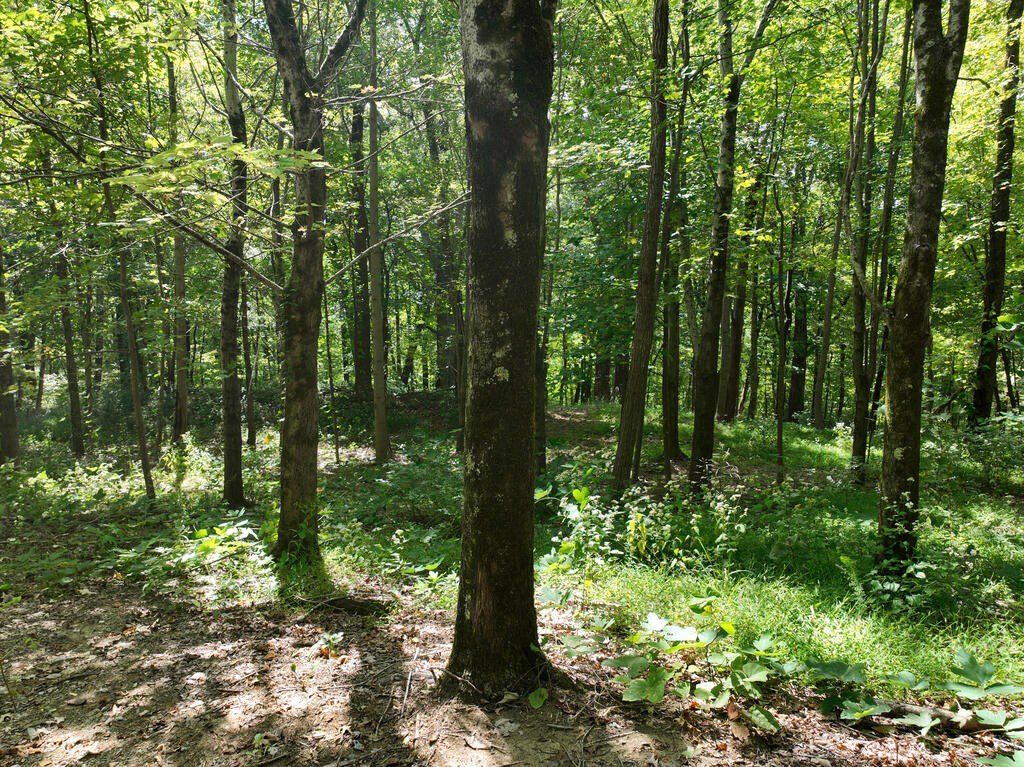 Picture 15