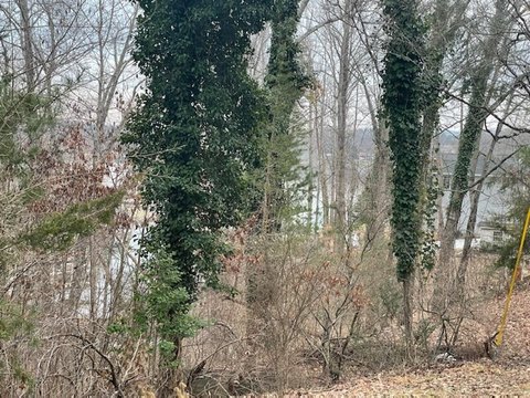 Moneta, VA Land For Sale