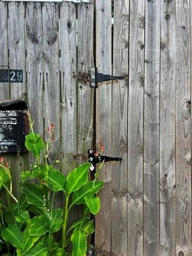 Land, New Orleans, LA