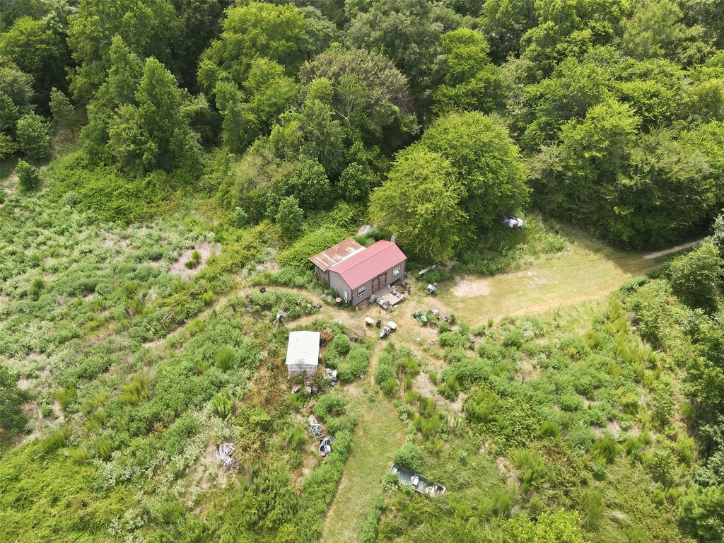 Picture 2