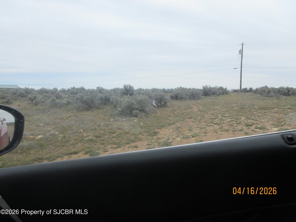 Picture 15