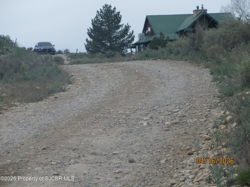 Picture 20