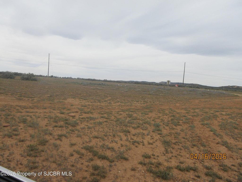 Picture 14