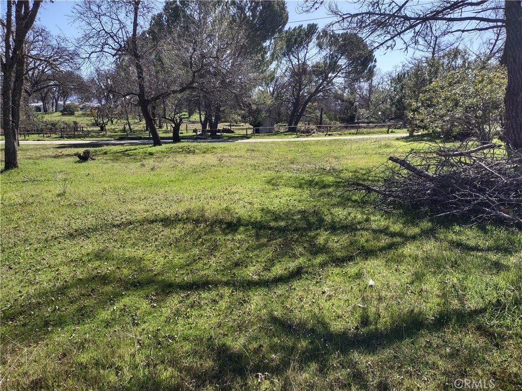 Picture 11