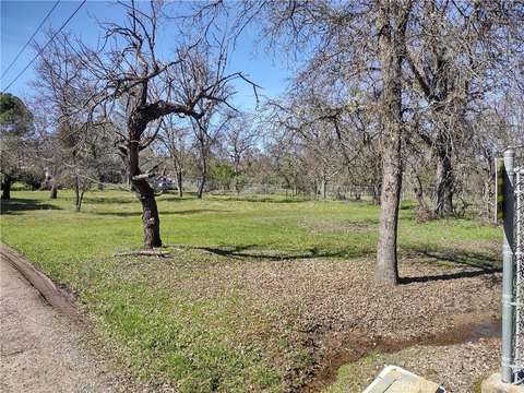 Lakeport Treed Lot Ready