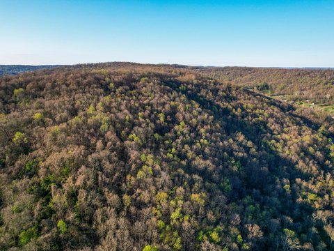 84-Acre Recreational and Hunting Property