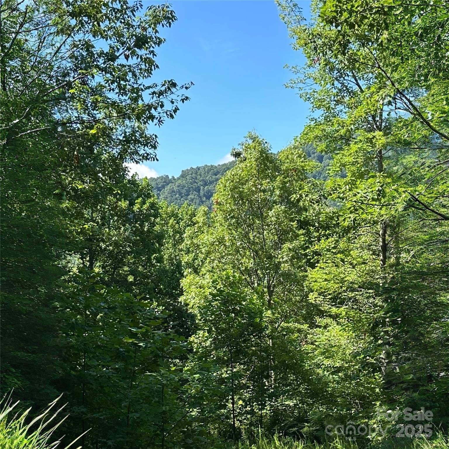 Mountain View Lot in Creston