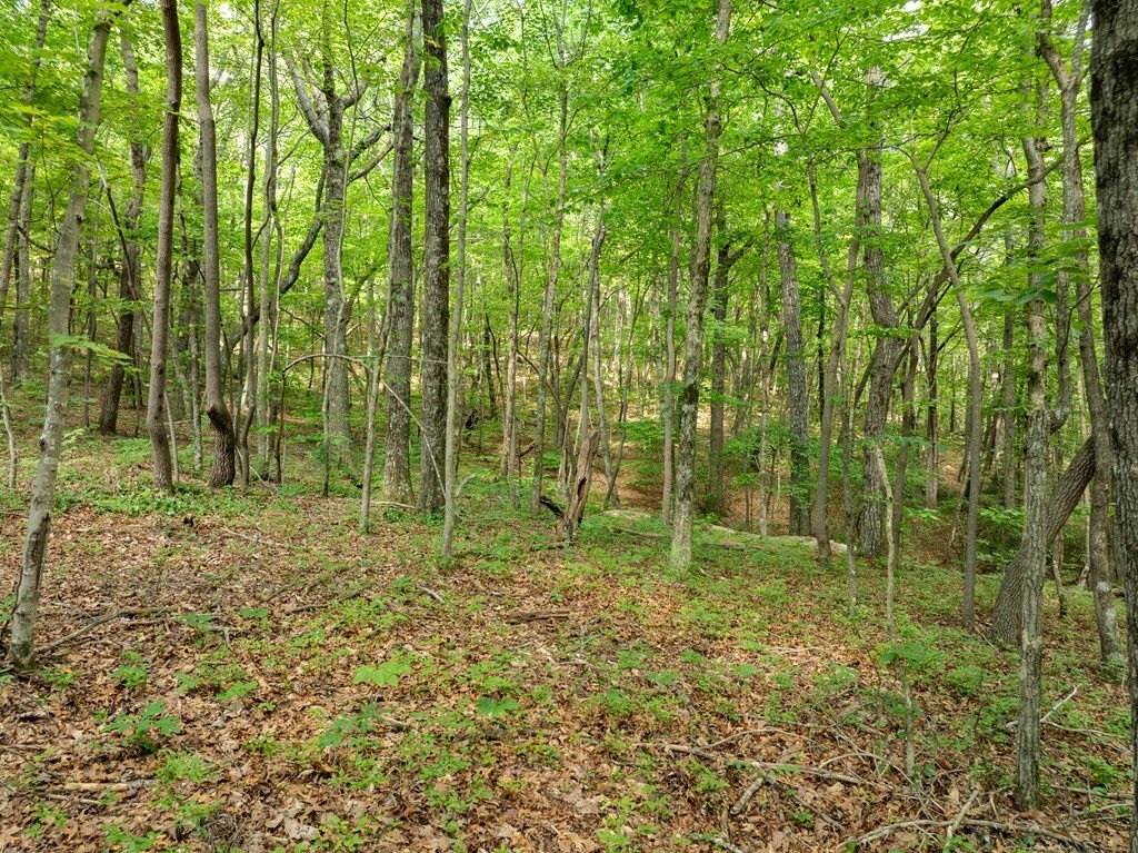 Picture 33