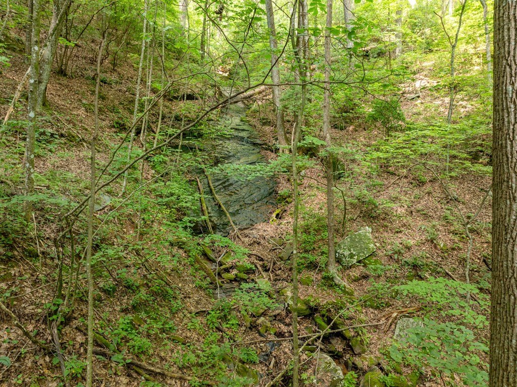 Picture 38