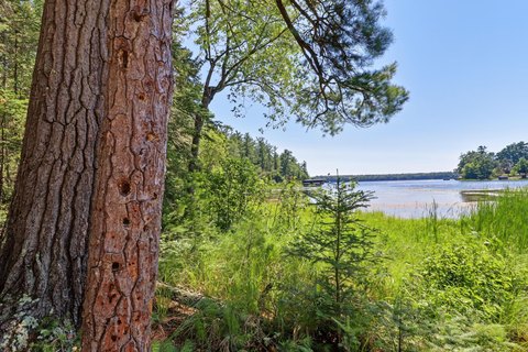 LAND - St Germain, WI
