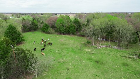 Kaufman County Land Opportunity