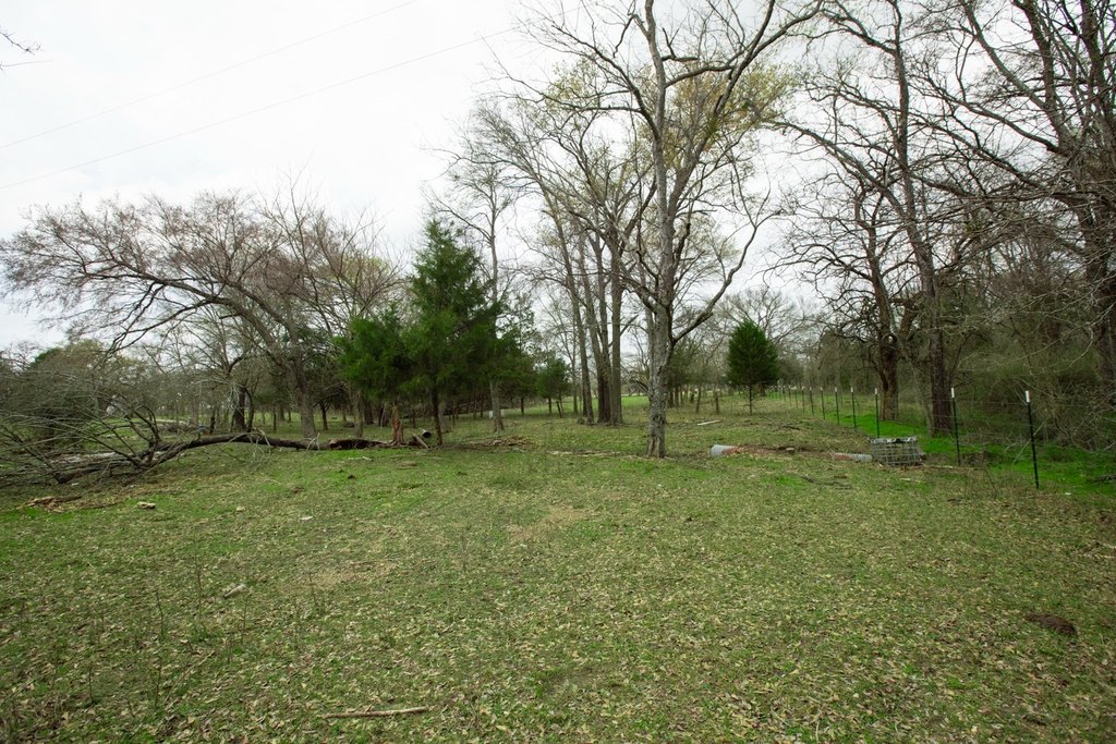 Picture 4