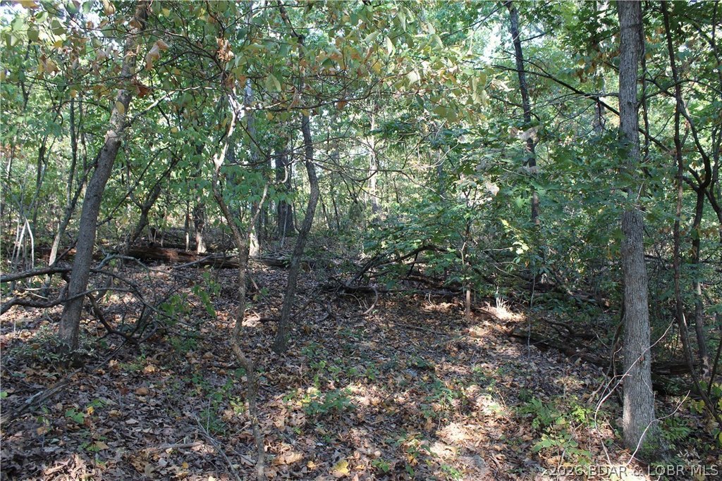 Picture 9