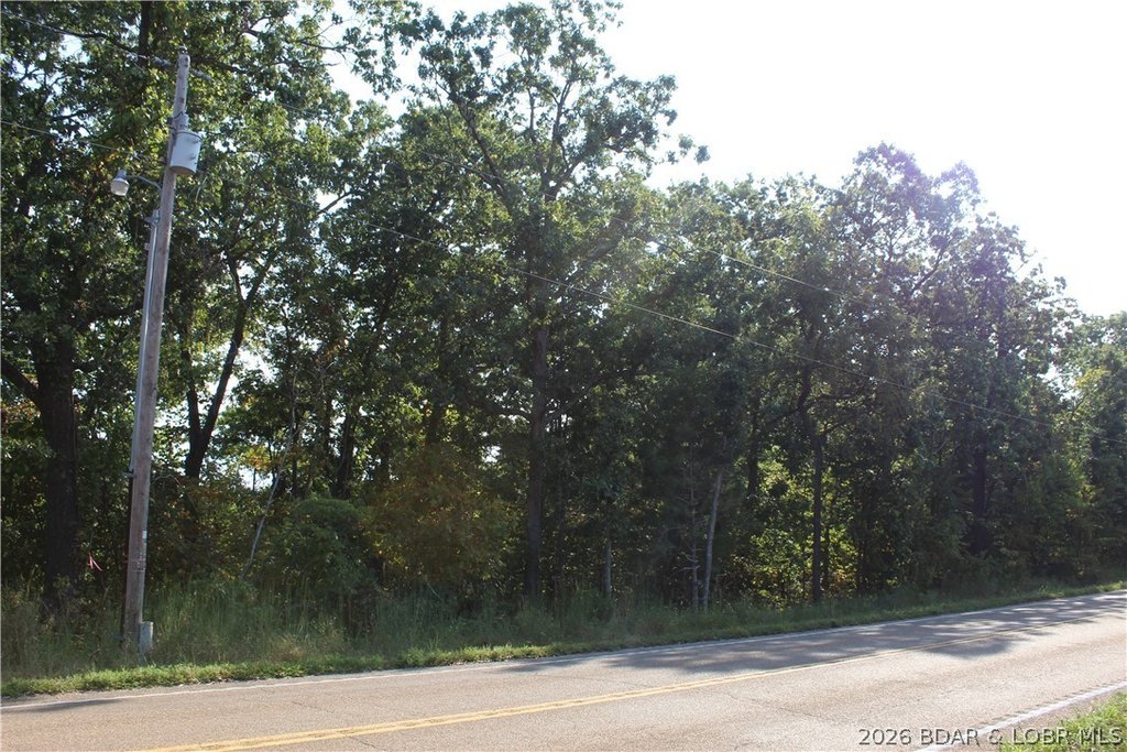 Picture 5
