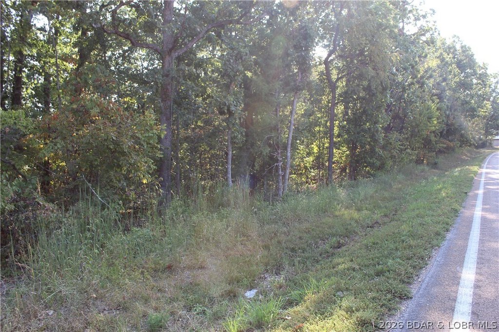Picture 6