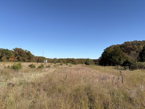 Vacant Land in Newburg, MO