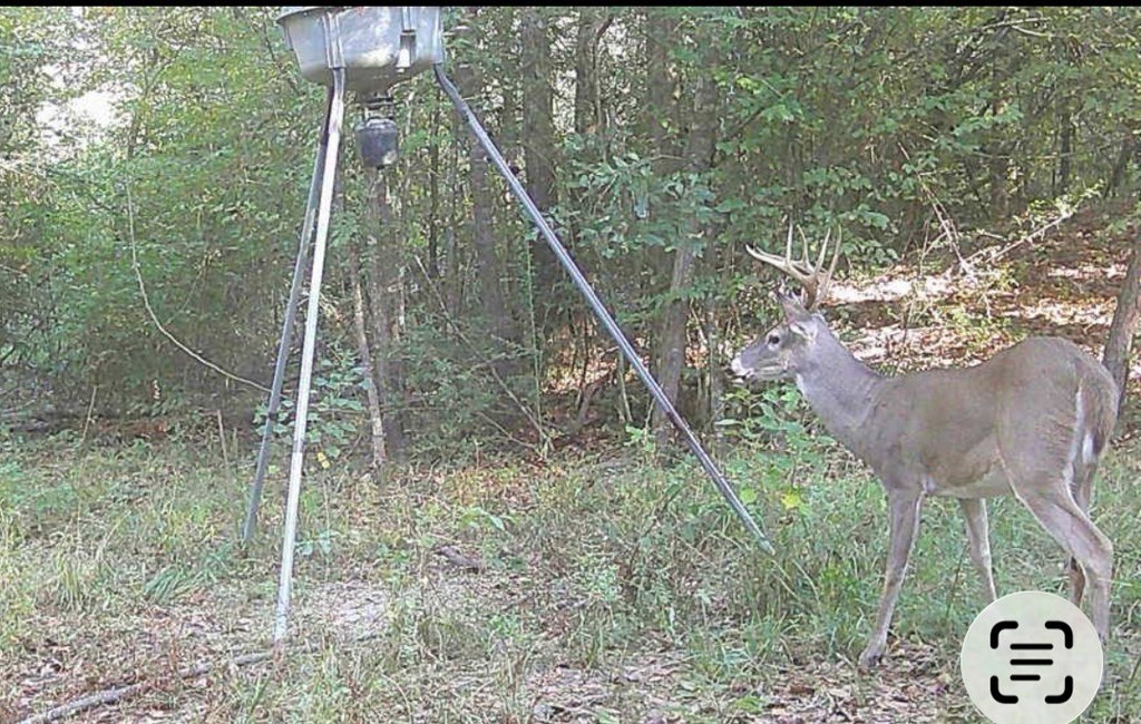 Picture 18