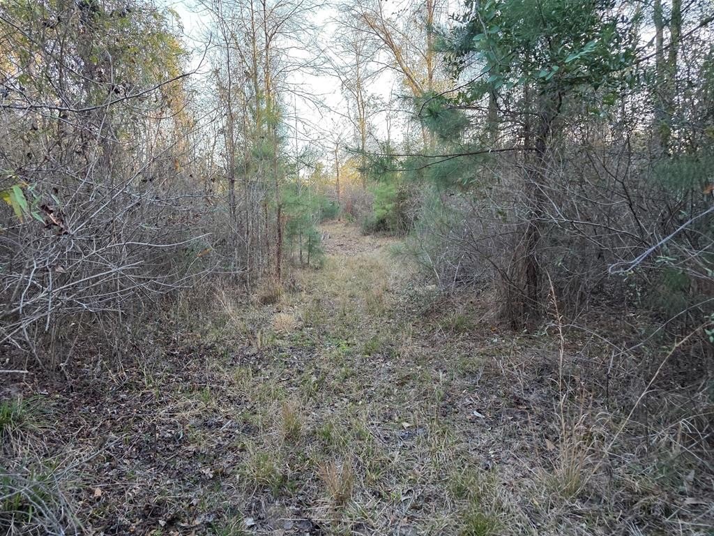 Picture 41