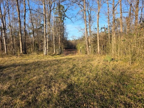 Recreational Land with Deer Stand