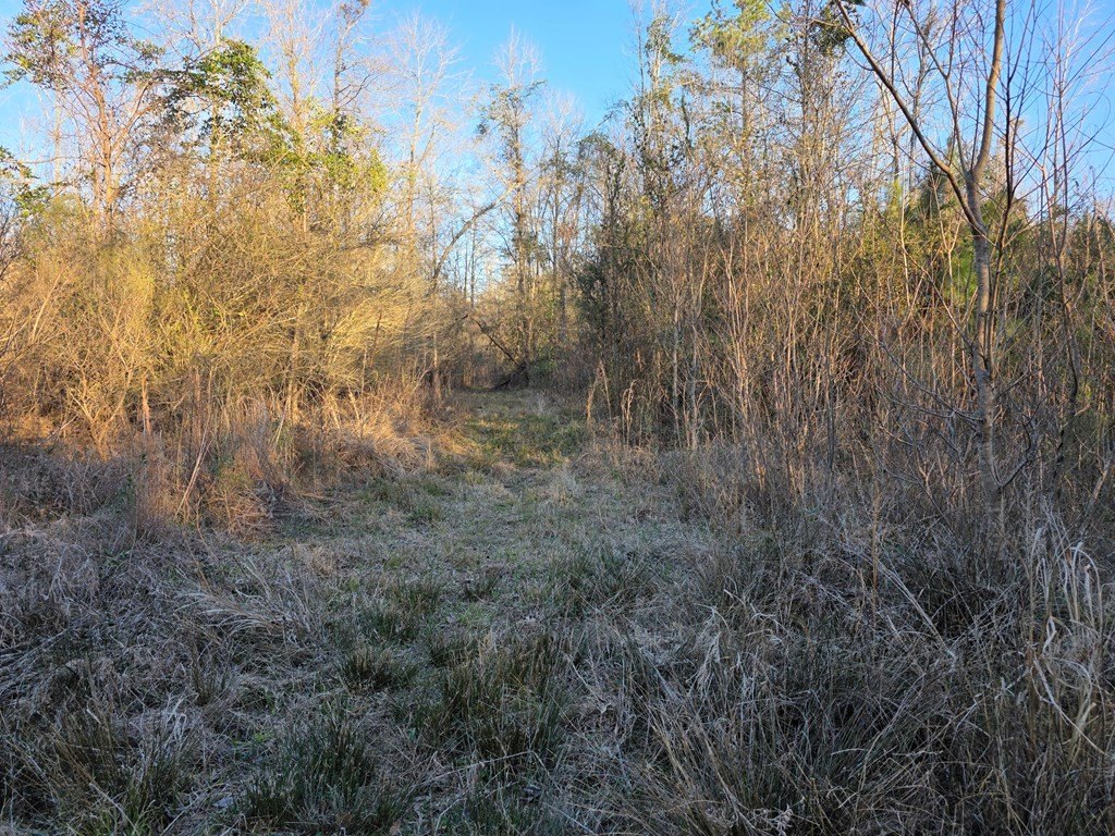Picture 11