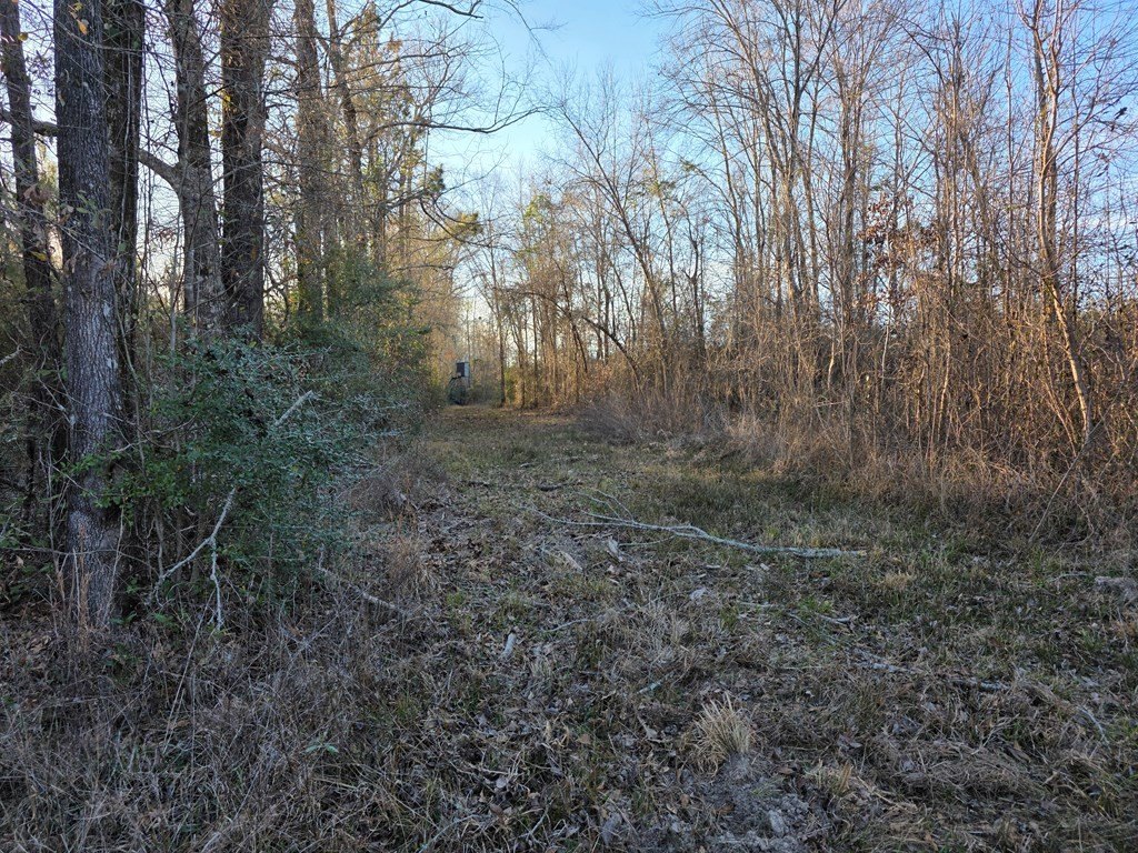 Picture 10
