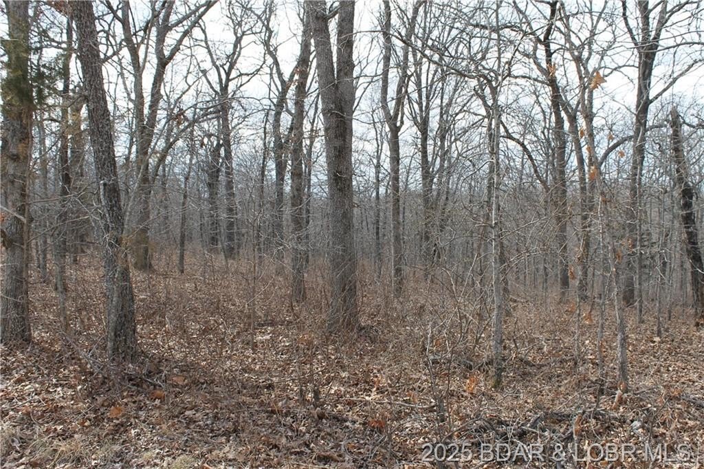 Forbes Lake of the Ozarks Lot