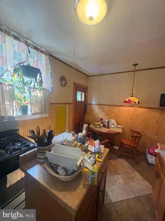 Picture 29