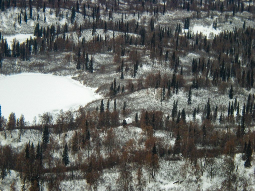 Picture 11