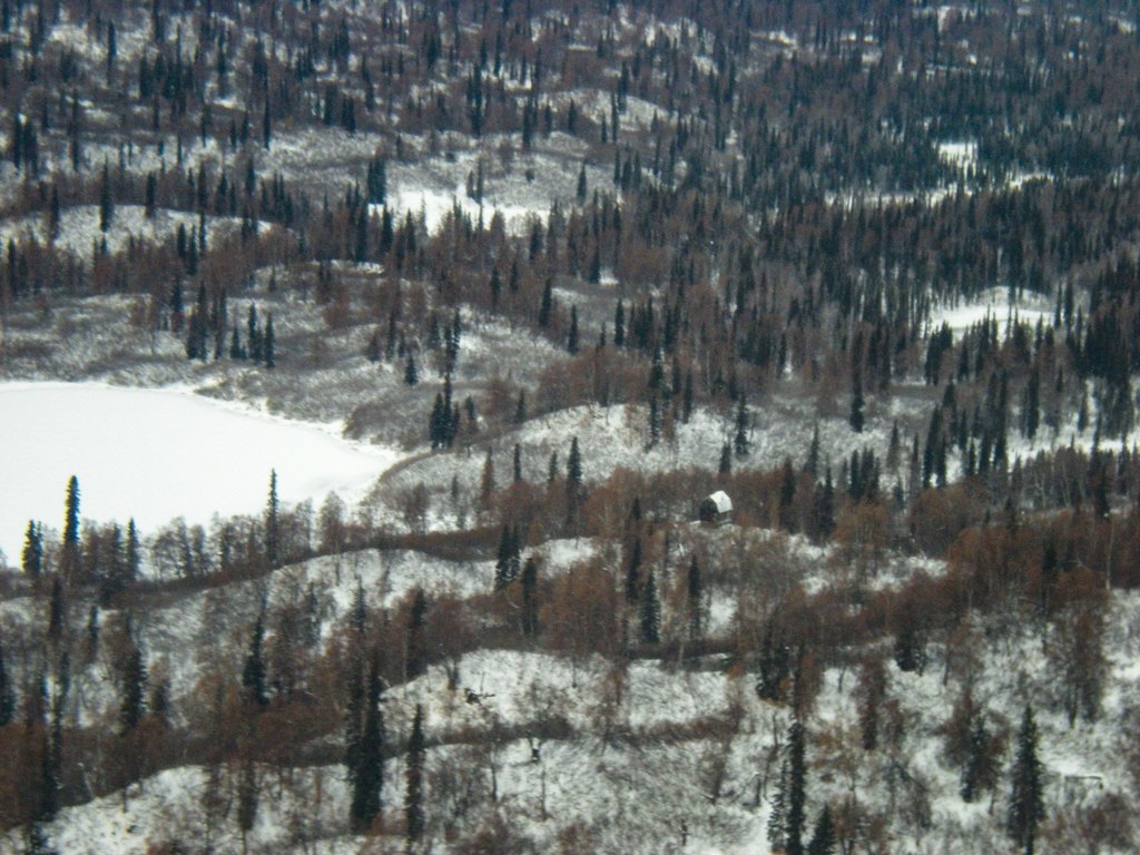 Picture 7
