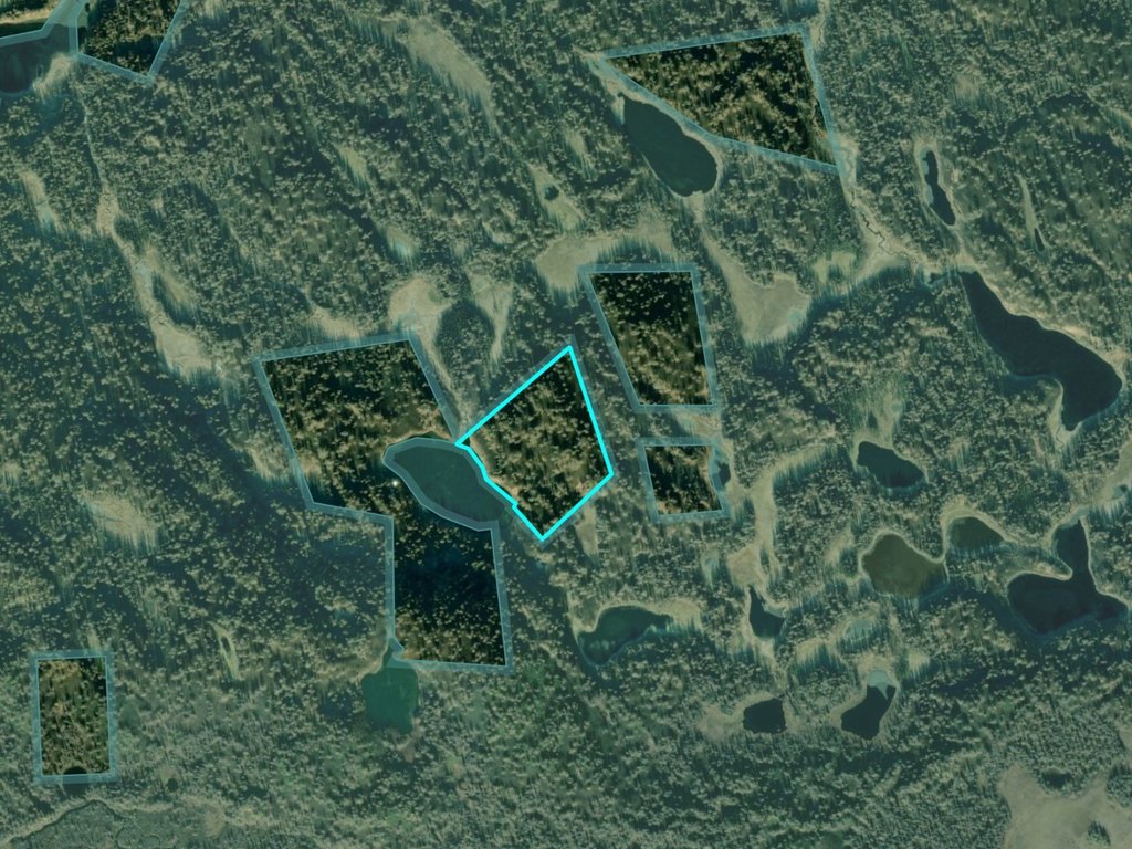 Picture 21