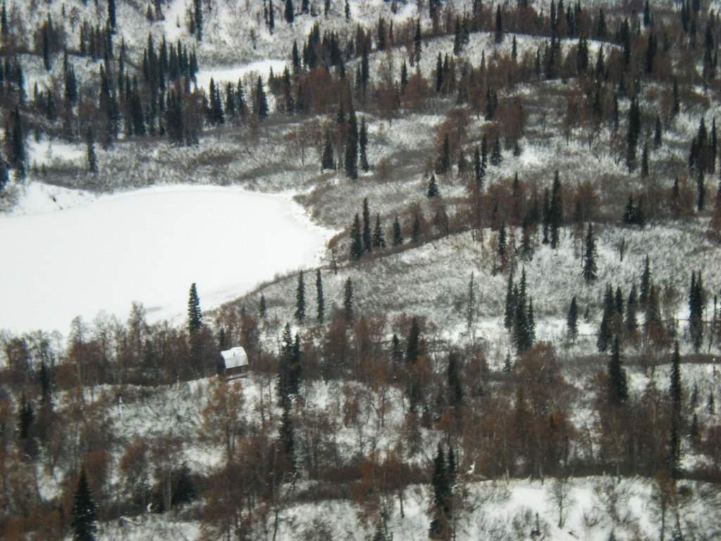 Picture 8